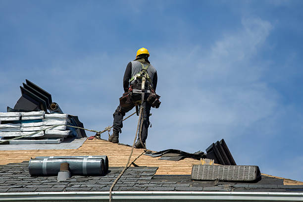 Professional Roof Replacement technician working in Rowland, NC